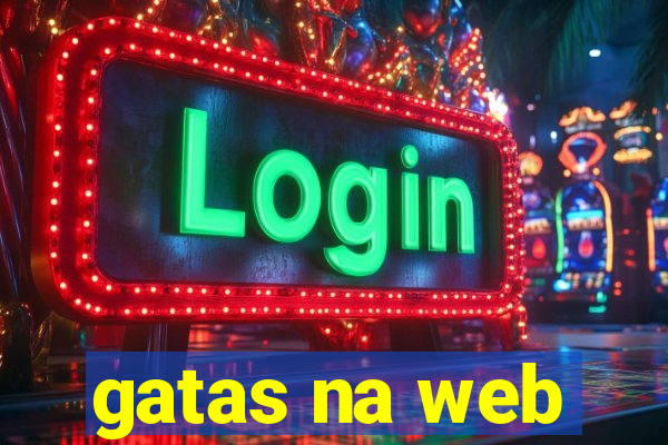 gatas na web